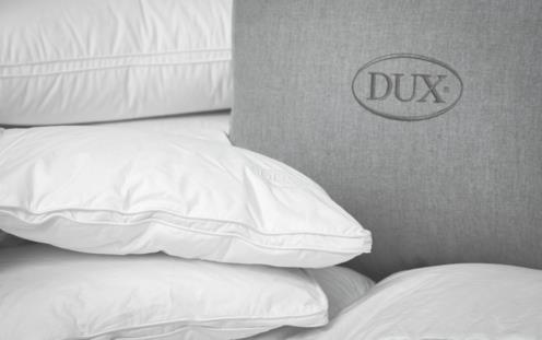DUX duvet excellent warm